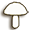 Champignons