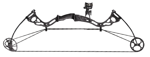 Compound Bow