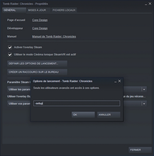 Menu de configuration de la version Steam