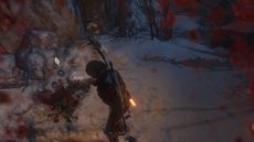 Rise of the Tomb Raider