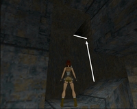 Tomb Raider 1 : Citerne