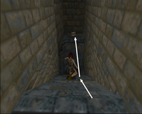 Tomb Raider 1 : Citerne