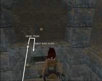 Tomb Raider 1 : Citerne