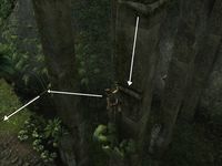 Tomb Raider Underworld : Vestiges