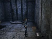 Tomb Raider Underworld : Helheim